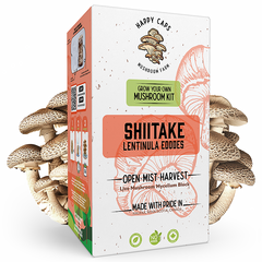 Kit de Champignons Shiitake