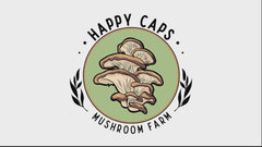 Kit de Champignons à Crinière de Lion