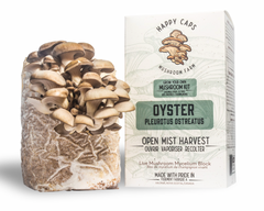 Oyster Mushroom Kit