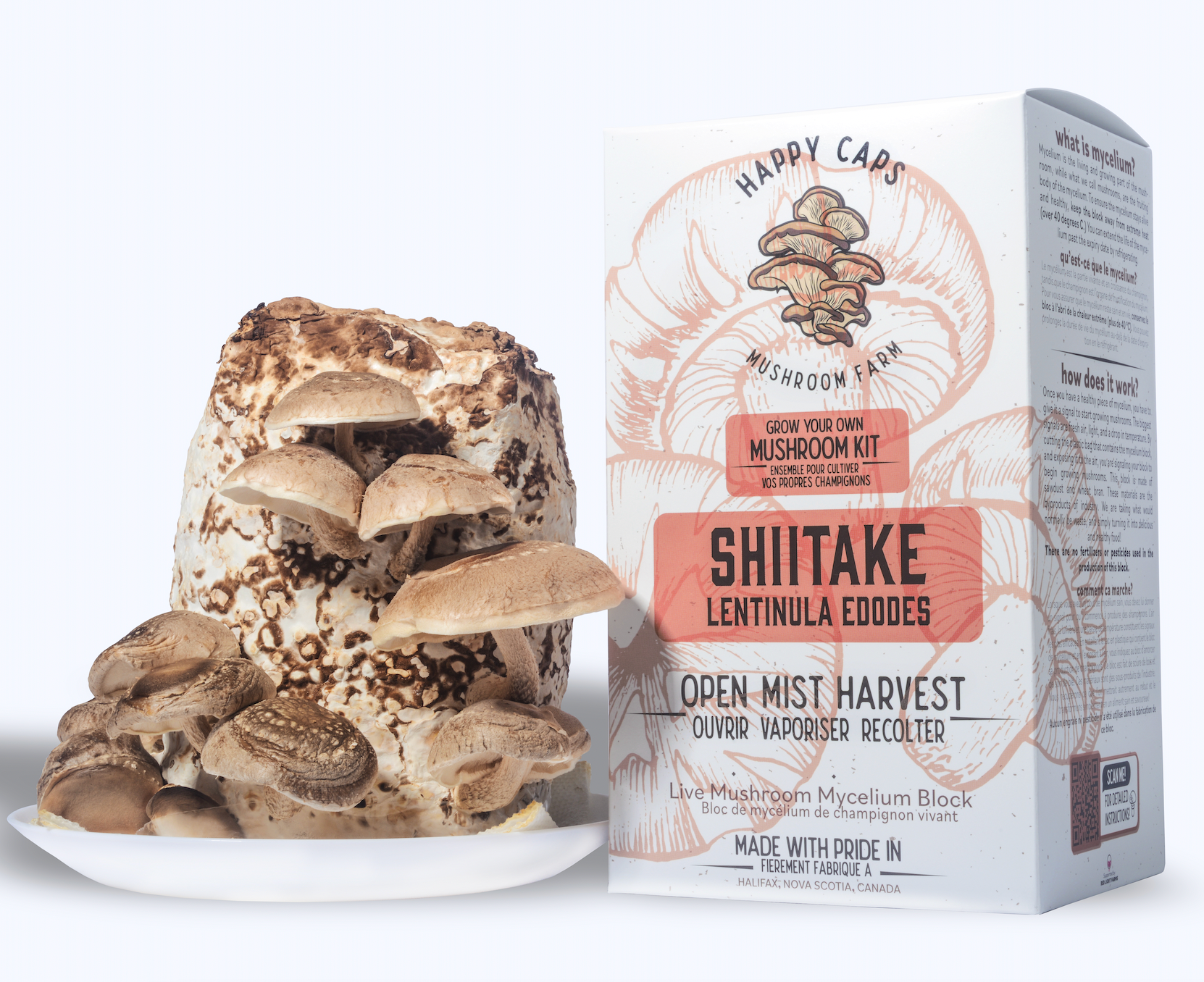 Shiitake Mushroom Growing Kit FREE SHIPPING 