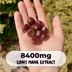 Functional Mushroom Gummies