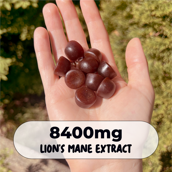 Functional Mushroom Gummies Sample