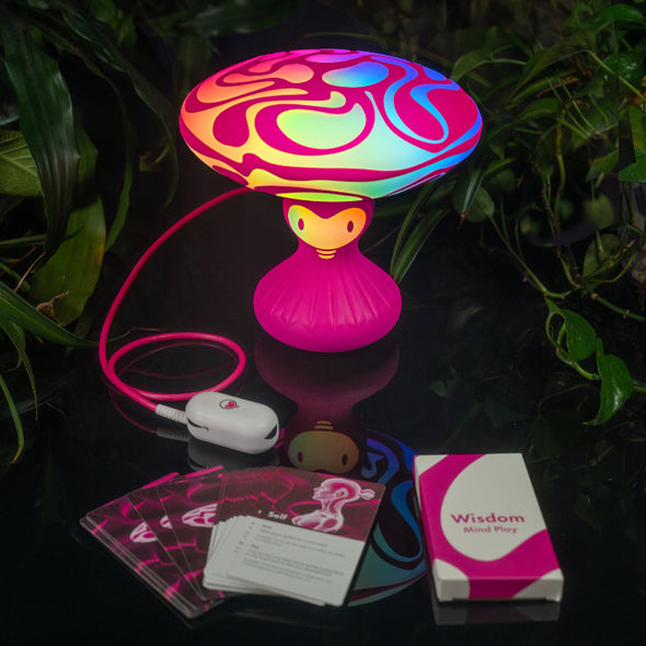 Wisdom Moon Mushroom Lamp