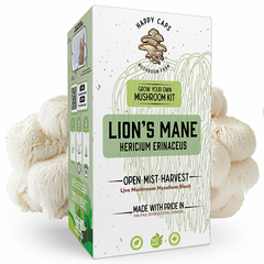 Kit de Champignons à Crinière de Lion