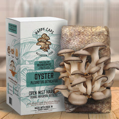 Oyster Mushroom Kit - USA