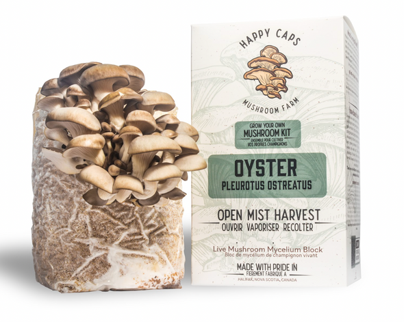 Oyster Mushroom Kit - USA